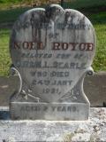 image of grave number 538666